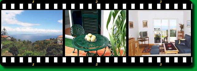 Vila Florina, Gaula
Gaula / Südküste Madeira, Pensionen